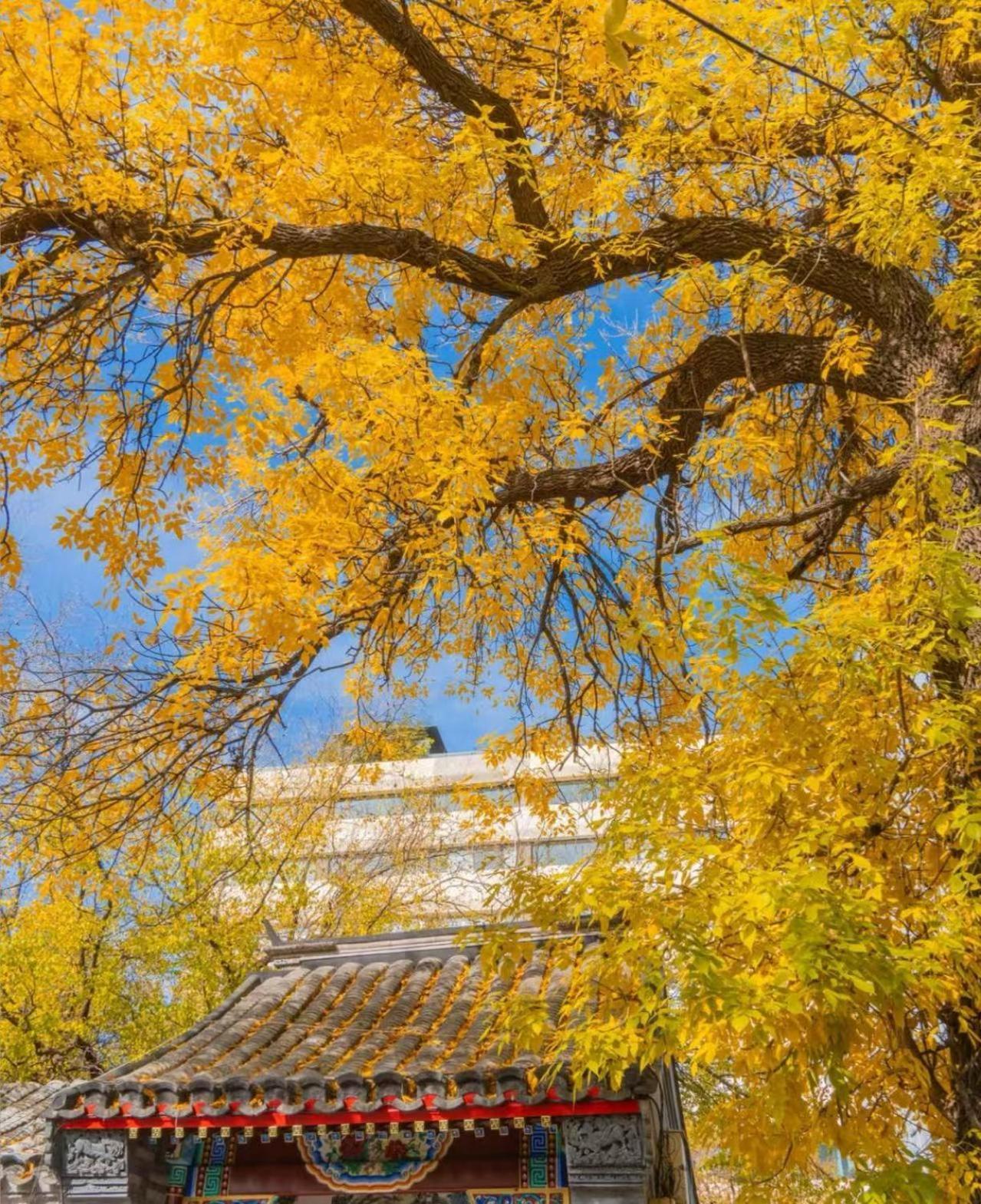 Nostalgia Hotel Beijing Guozijian Ghost Street - Near Beijing Lama Temple, Beihai Park, Jingshan Park, Drum Tower, Houhai Bar Street, Tian'Anmen Square, Located In Beijing Traditional Hutongs, 5 Minutes Away From Beixinqiao Metro Station Buitenkant foto